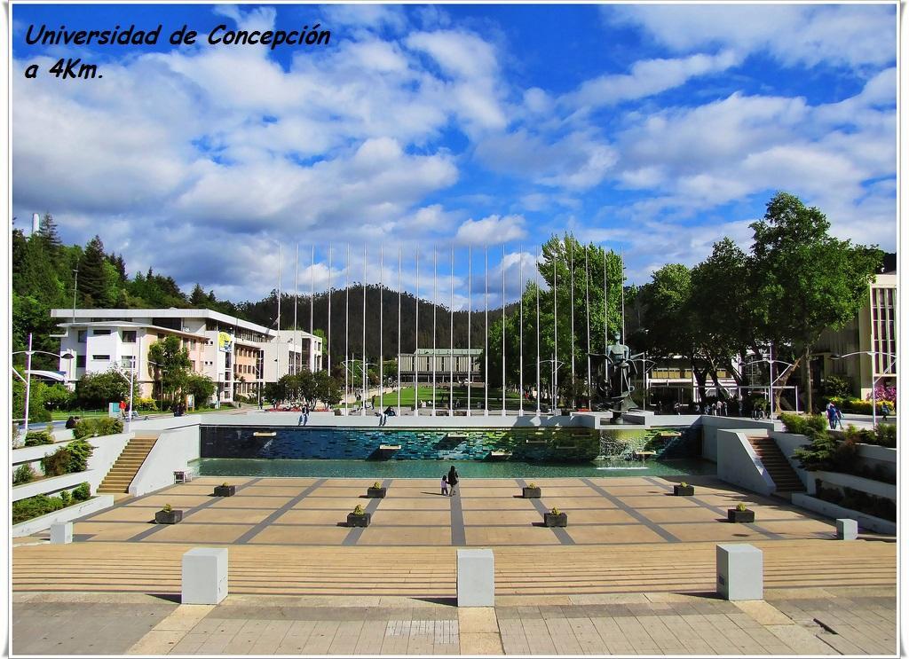 Hotel Casa San Valentin Concepción Exterior foto